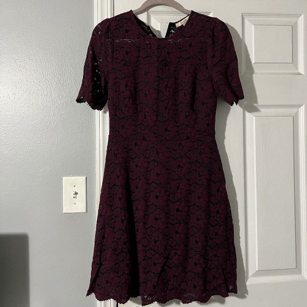 Lark & Ro - Purple Lace over Navy Dress - Short Sleeve - Size 8
